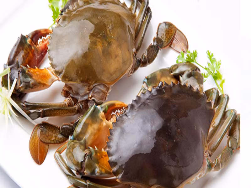 Theo một chủ cửa hàng hản sản ở Hà Nội, cua cốm tươi sống hiện có giá khoảng 720.000-790.000đ/kg.