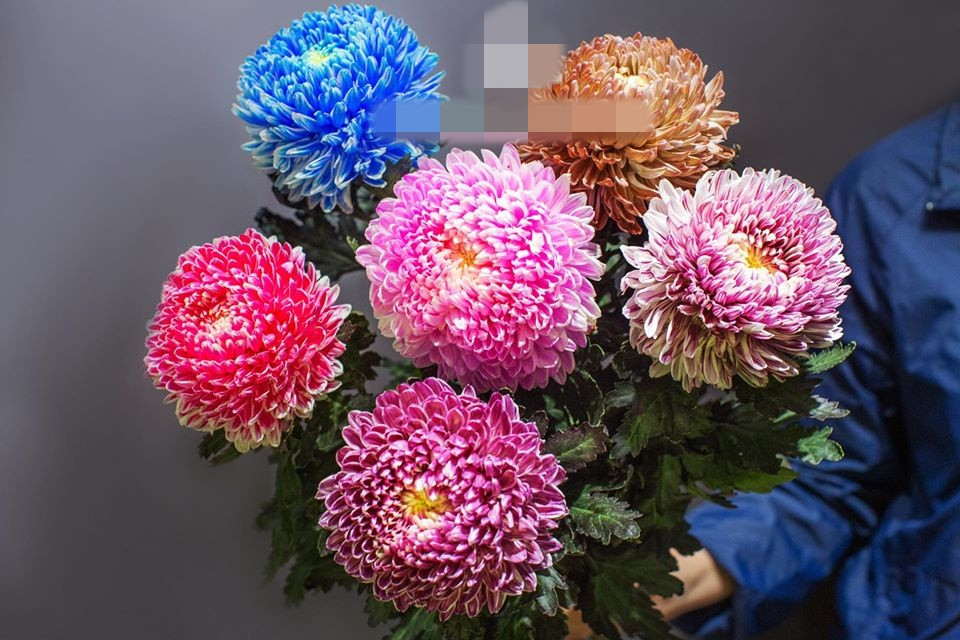 Hơn nữa, hoa lại có nhiều màu nên khi cắm cùng nhau rất độc đáo. Nguồn ảnh: Lux Flower.