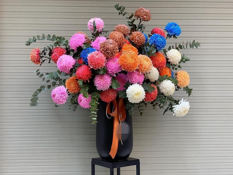 So với hoa cúc thông thường thì cúc mẫu đơn Hà Lan có giá bán cao gấp khoảng 20 lần.