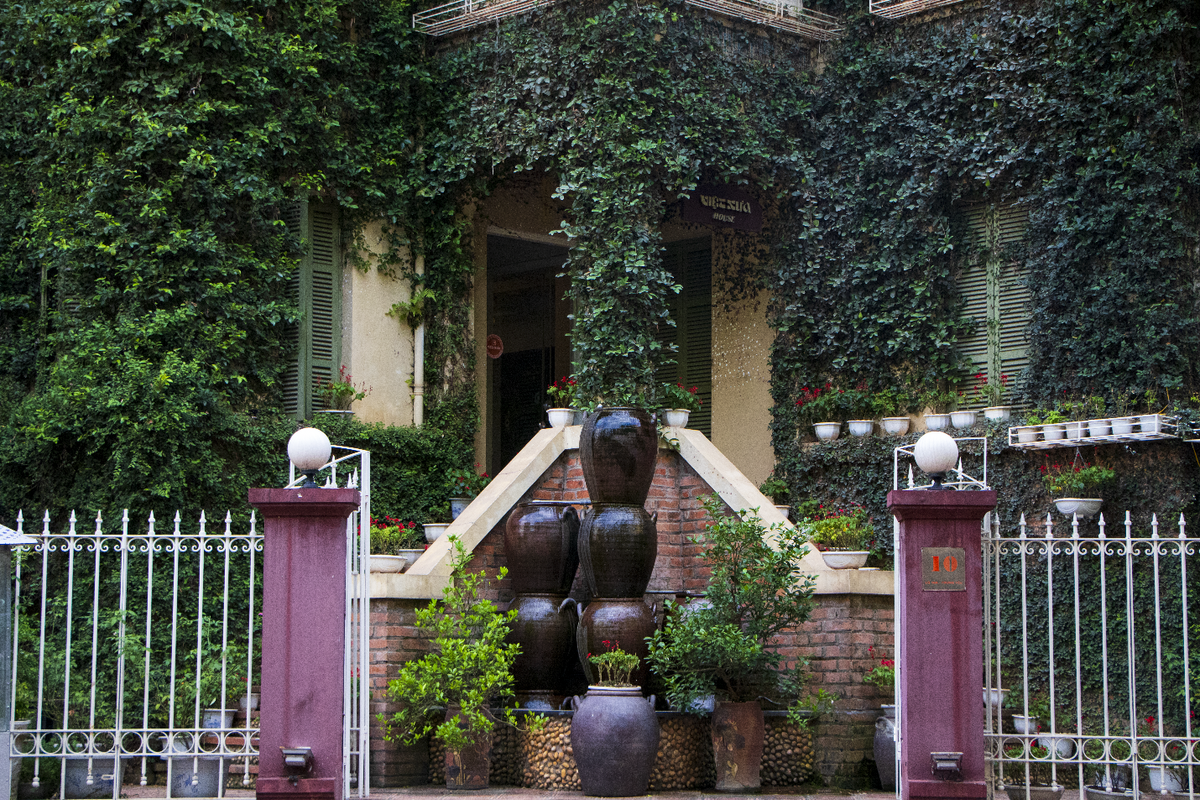 Lớp tường gồm có nhiều loại cây xanh bao phủ như trường xuân, trầu bà, trạng nguyên, cây vảy ốc,...Bên cạnh đó, chủ nhà sử dụng dùng chum, vại...tạo nên vẻ đẹp thu hút tự nhiên, độc lạ cho biệt phủ rộng lớn. (Ảnh: Hoàng Ngân)