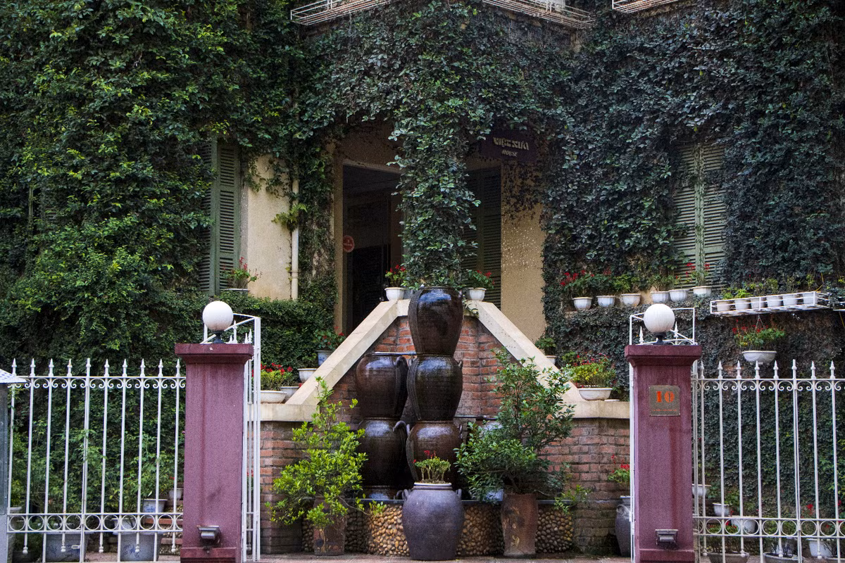 Lớp tường gồm có nhiều loại cây xanh bao phủ như trường xuân, trầu bà, trạng nguyên, cây vảy ốc,...Bên cạnh đó, chủ nhà sử dụng dùng chum, vại...tạo nên vẻ đẹp thu hút tự nhiên, độc lạ cho biệt phủ rộng lớn. (Ảnh: Hoàng Ngân)