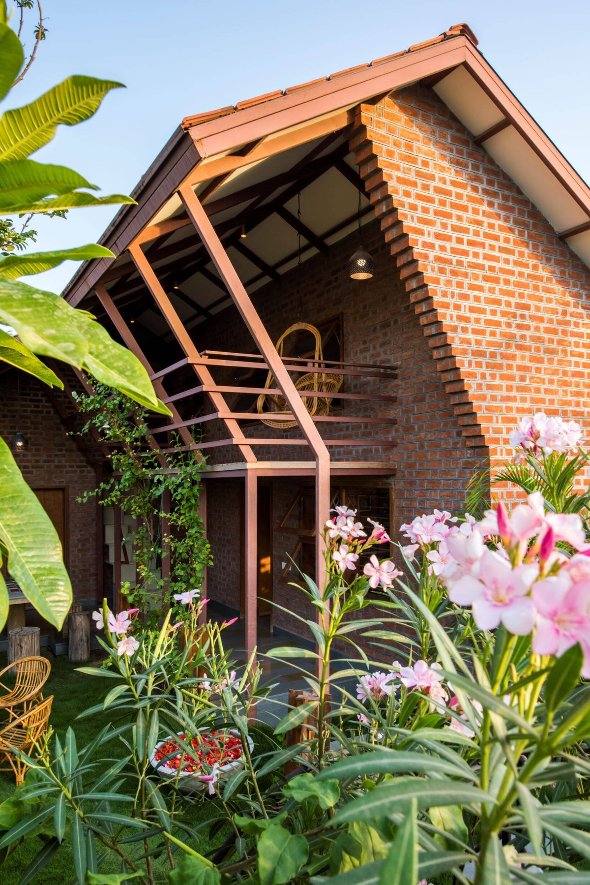 Những bông hoa mơn mởn sức sống.