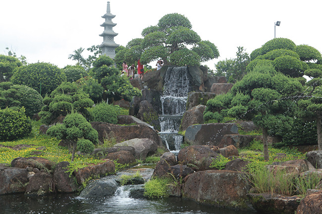 Xem đại gia Việt “vung tiền” chơi cây sung ngang giá cả siêu xe Xem dai gia Viet “vung tien” choi cay sung ngang gia ca sieu xe