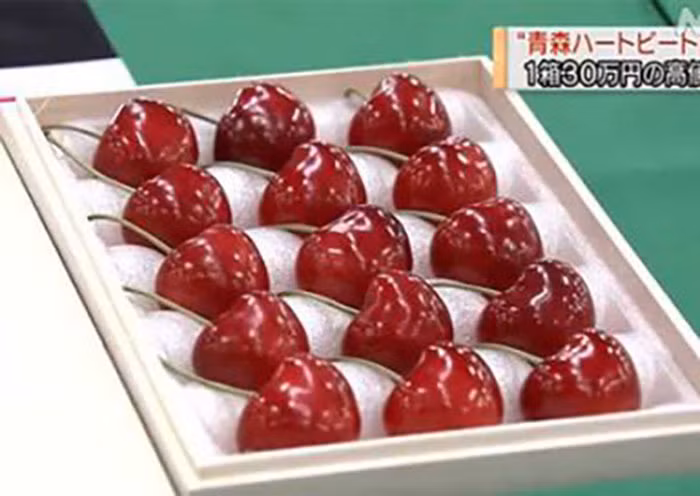 Đây là mức giá kỷ lục của một đợt đấu giá mang tính chất chào hàng cho thương hiệu của hàng. Ảnh: Kyodonews