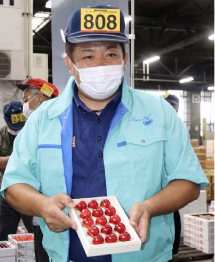 Là đặc sản của tỉnh Aomori, loại cherry hình tim được tung ra thị trường năm 2019 và lần đầu tiên được chuyển tới khu vực khác vào năm nay. Ảnh: Kyodonews