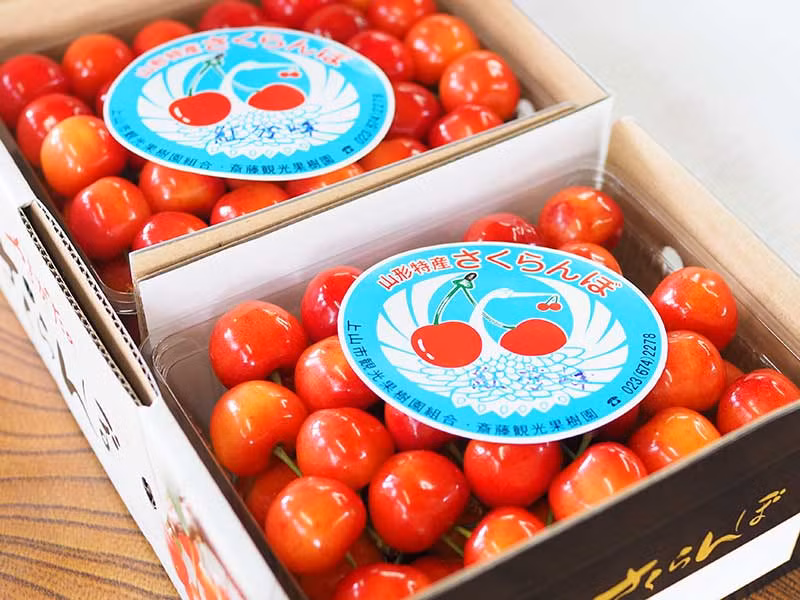 Ở một số cửa hàng hoa quả nhập khẩu, cherry Nhật được đóng vào những hộp nhựa với trọng lượng 60gram/hộp và bán với giá 400.000 đồng/hộp (tương đương khoảng 6,6 triệu đồng/kg). Ảnh: Kyodonews