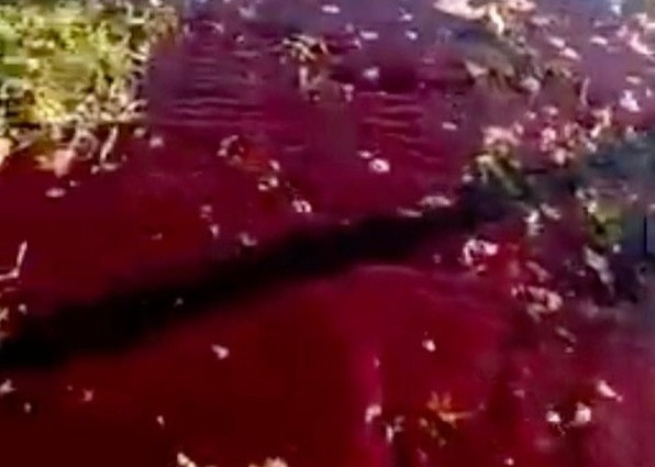 Mat dat nhu nhuom mau sau tran dong dat 6,8 do