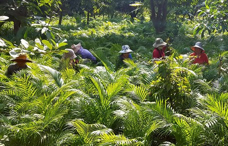 Ky lai ngoi lang doi doi nho trong cau chi de ban...la