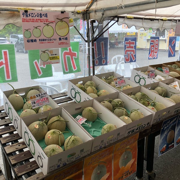 Dù tiêu thụ trong nước hay xuất khẩu, dưa lưới Nhật Bản đều được vận chuyển bằng đường hàng không để đảm bảo đến tay người tiêu dùng trong vòng 2-3 ngày sau thu hoạch. Ảnh: Japantimes