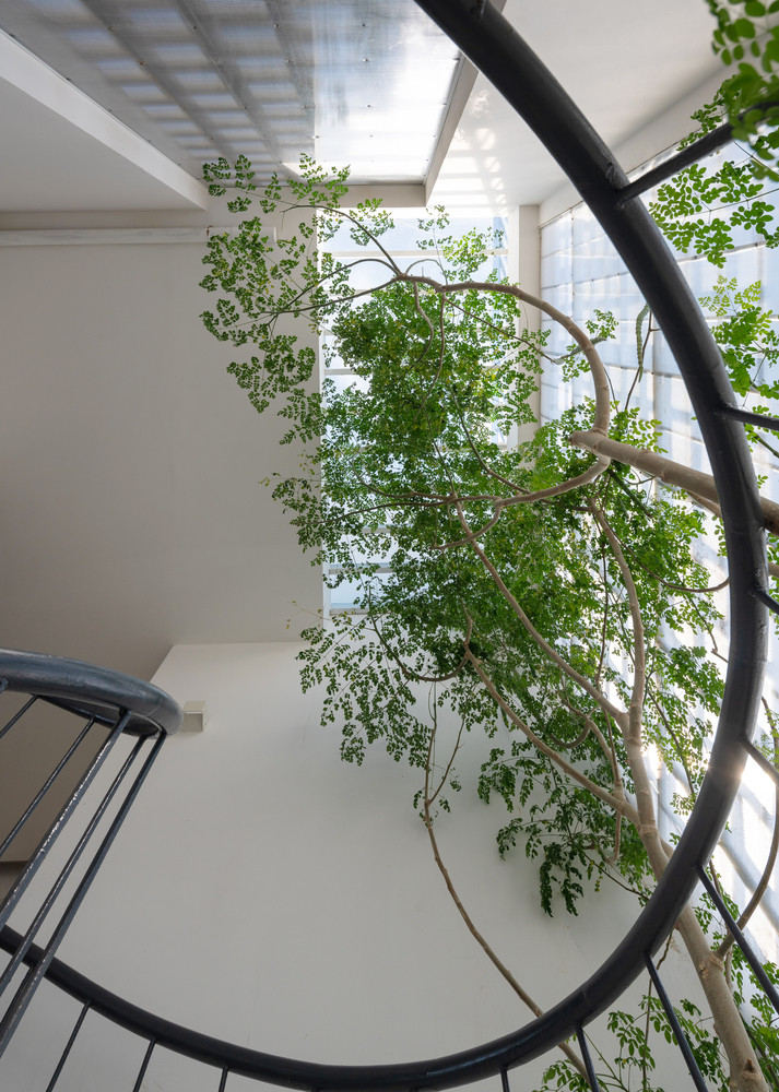 Khoảng giếng trời xanh mát.