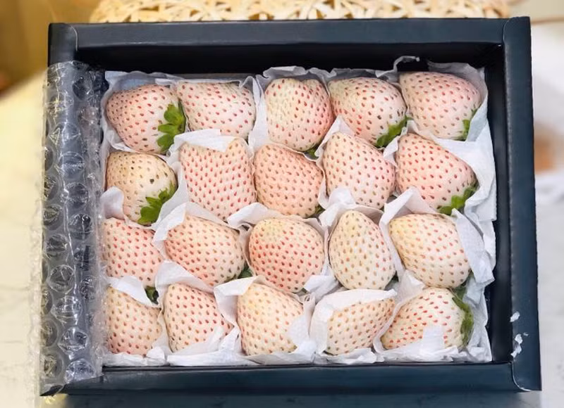 Dù có mức giá lên tới 2 triệu đồng/kg nhưng loại dâu tây trắng muốt này lại không dễ để tìm mua. Ảnh: Mia Fruits.