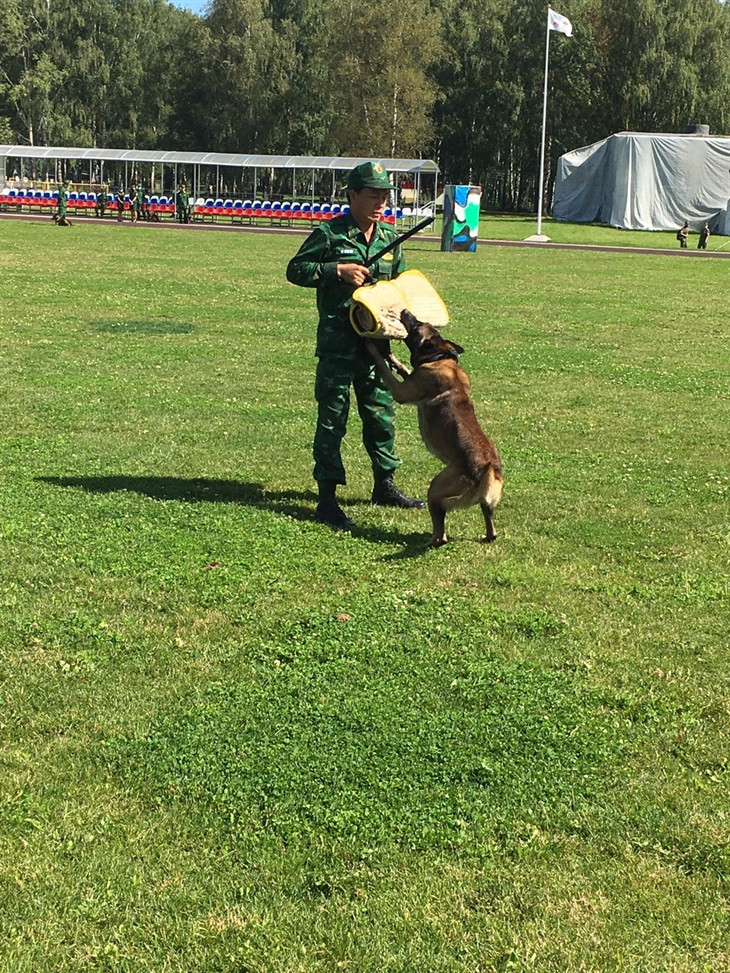 Vận động viên và chó nghiệp vụ luyện tập kỹ năng cá nhân.