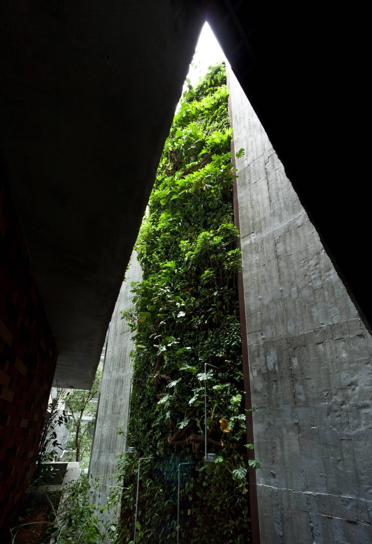 Bức tường xanh cao lớn chạy dọc từ tầng hai lên tới sân thượng gây choáng ngợp.