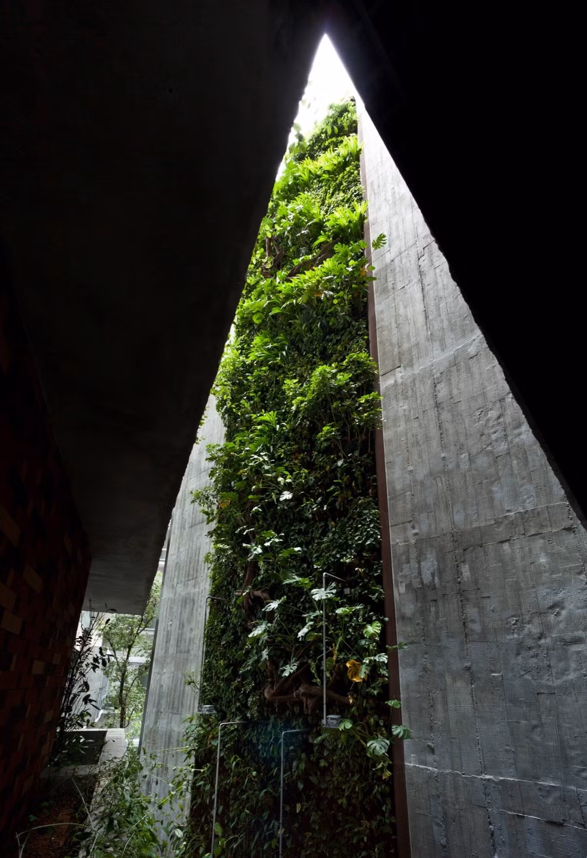 Bức tường xanh cao lớn chạy dọc từ tầng hai lên tới sân thượng gây choáng ngợp.