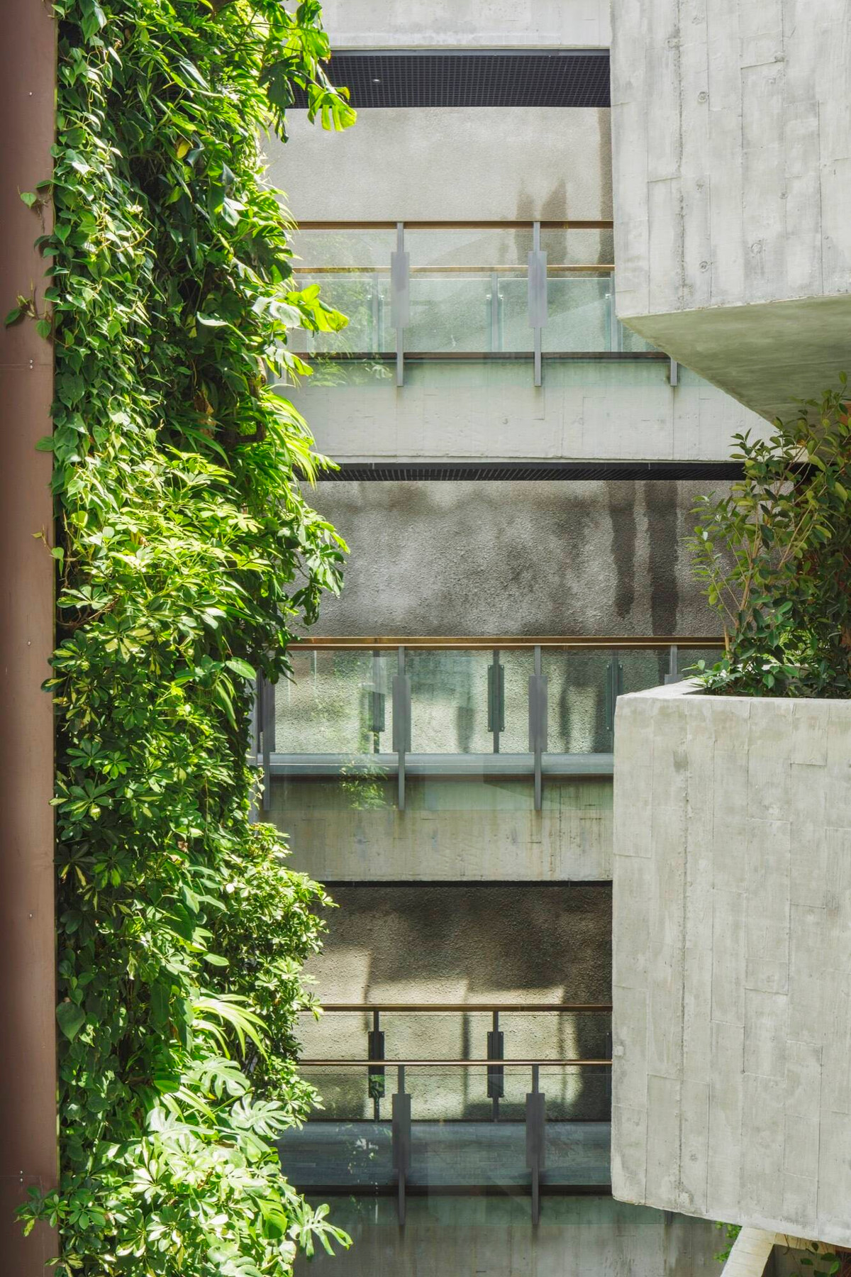 Chẳng ai nghĩ giữa thành phố chật hẹp như ở Singapore lại có một "thiên đường xanh mát" như Killiney Road. Nguồn ảnh: Archdaily. Video: Kiến trúc hiện đại cho ngôi nhà liền kề. Nguồn: VTC1