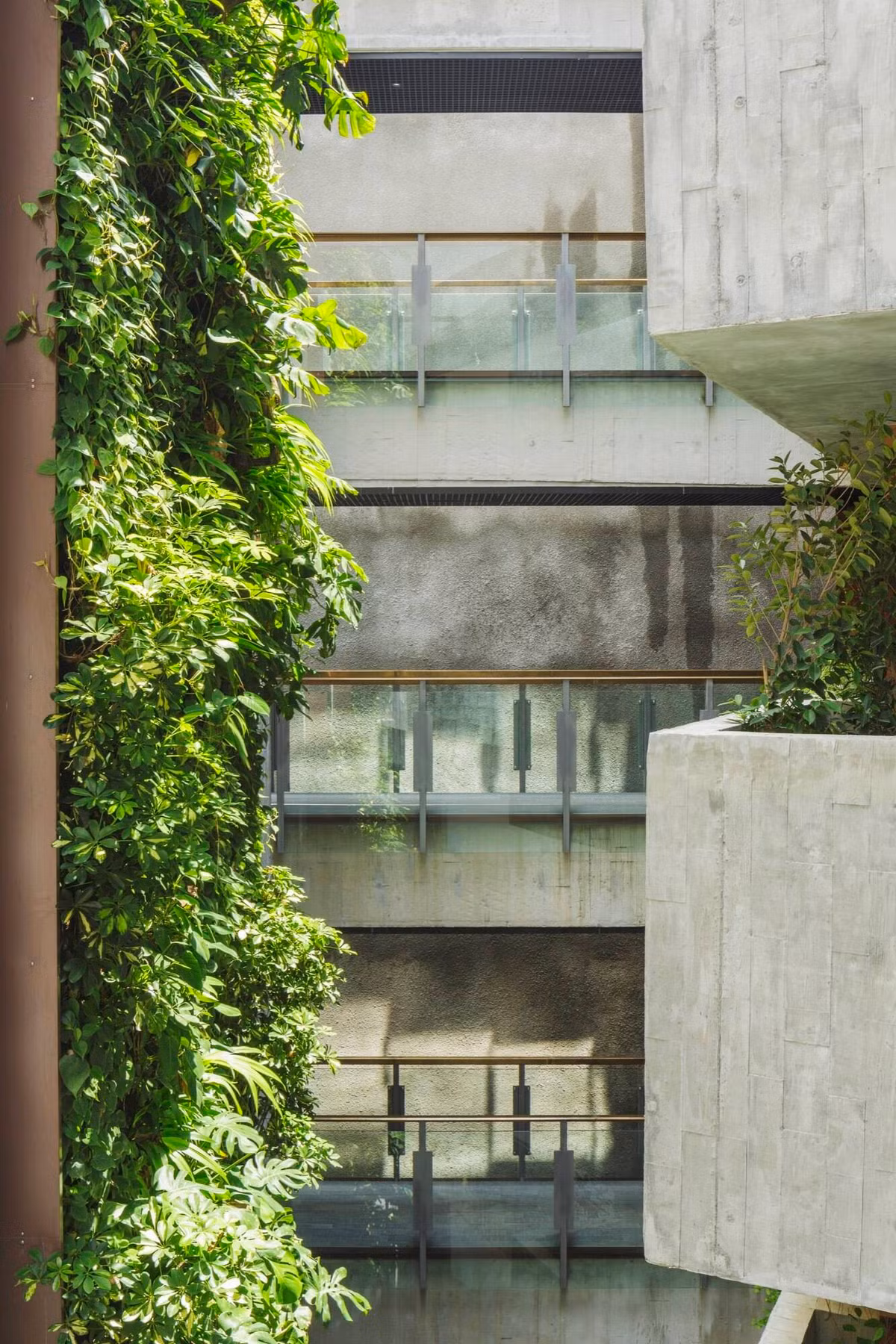 Chẳng ai nghĩ giữa thành phố chật hẹp như ở Singapore lại có một "thiên đường xanh mát" như Killiney Road. Nguồn ảnh: Archdaily. Video: Kiến trúc hiện đại cho ngôi nhà liền kề. Nguồn: VTC1