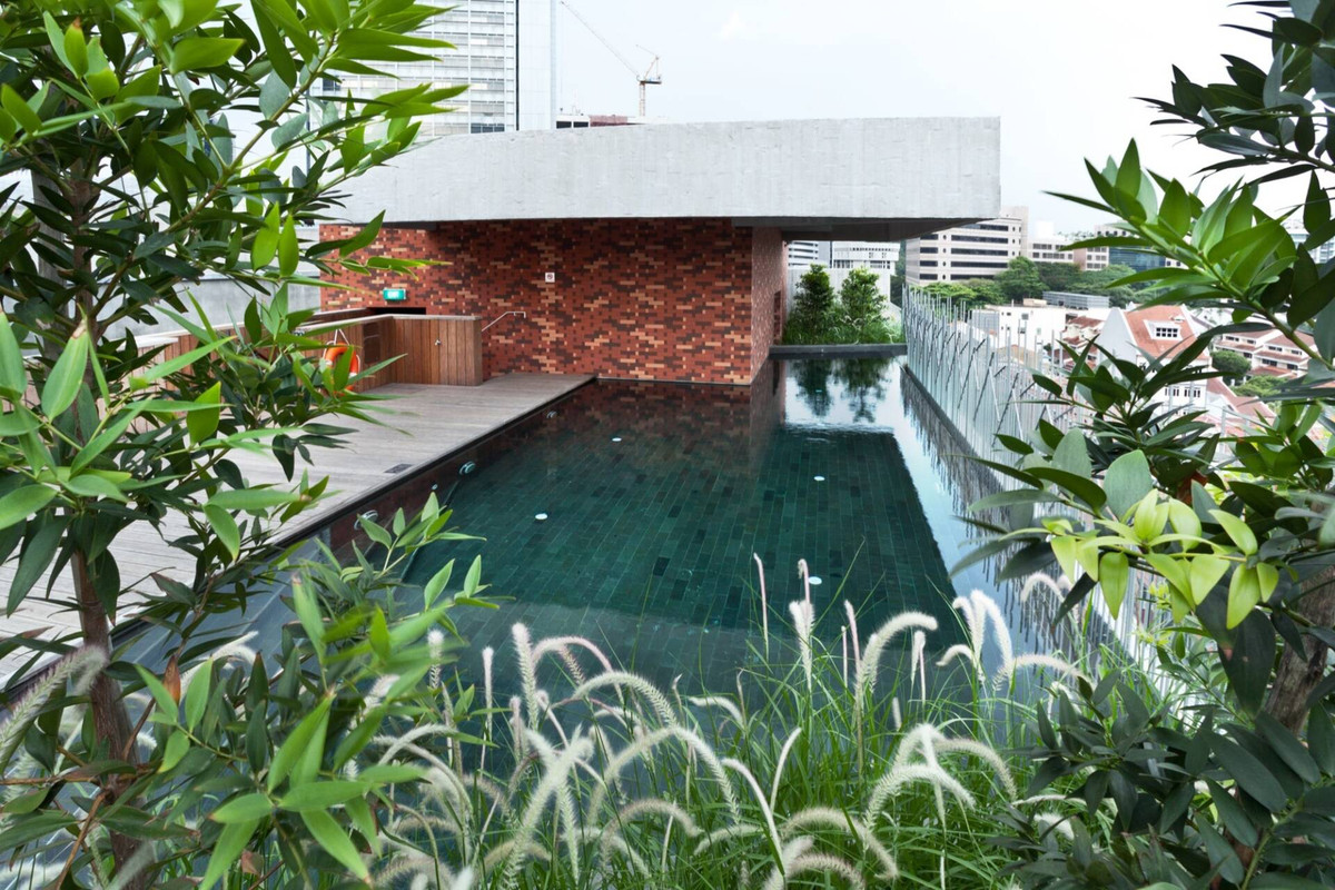 Phía trên mái nhà không chỉ có bể bơi lớn mà còn có cả một khu vườn xanh mướt.