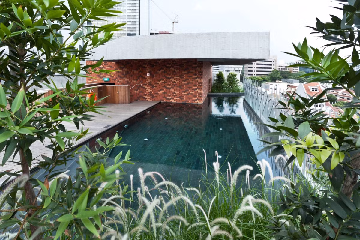 Phía trên mái nhà không chỉ có bể bơi lớn mà còn có cả một khu vườn xanh mướt.