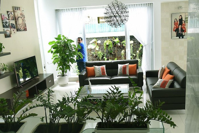 Ở mỗi góc nhà, Quyền Linh đều đặt các chậu cây xanh cho không gian sống gần gũi thiên nhiên. Ảnh: Zing.