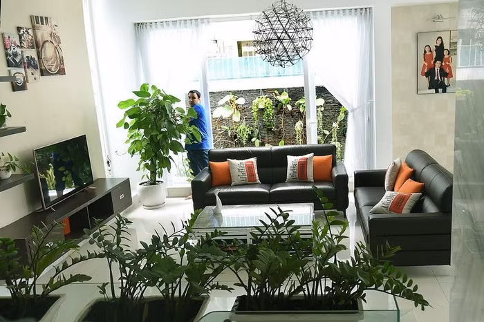 Ở mỗi góc nhà, Quyền Linh đều đặt các chậu cây xanh cho không gian sống gần gũi thiên nhiên. Ảnh: Zing.