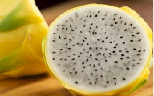 Chị Ngọc phải đặt trước cả chục ngày mới có hàng. Ảnh: Halafruit.