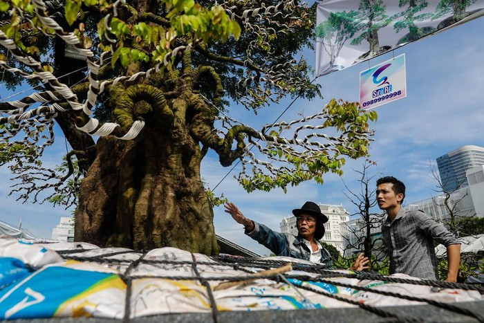 Để tạo nên dáng thiên địa càn khôn, nghệ nhân phải mất tới 25 năm cắt tỉa, chăm sóc. Ảnh: Zing.