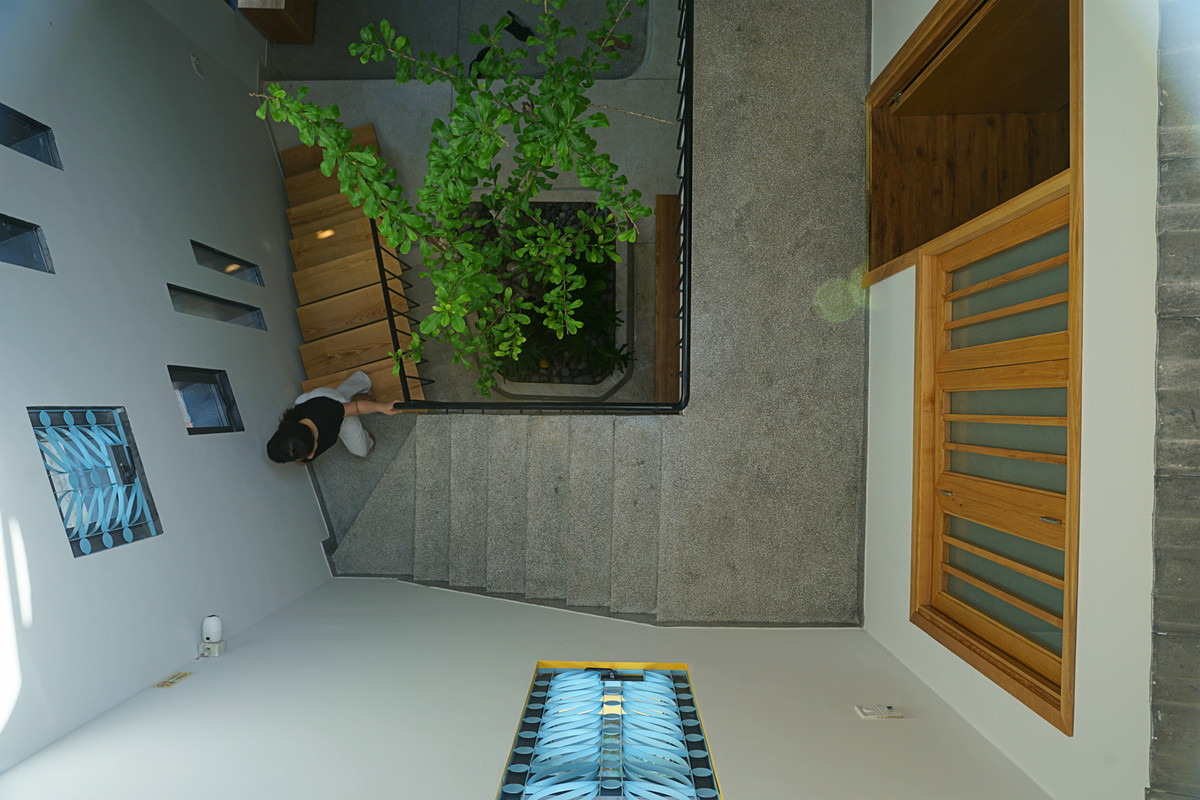 Cây xanh đóng vai trò là lá phổi trong nhà.