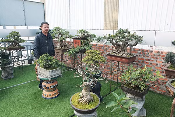 Anh Hiệp cho biết chơi cây cảnh được 30 năm nay, không tính tiền đất thì riêng tiền đầu tư cây cảnh đã lên đến 10 tỷ đồng. Ảnh: Khám phá. Video: Đại gia Việt lùng sục cá ‘khủng long 6 sừng. Nguồn: VTC14