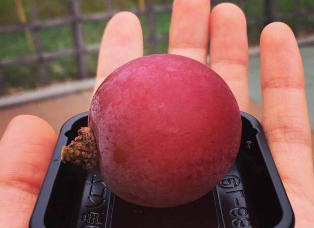 Ruby Roman được quảng cáo với cái tên “giống nho đắt nhất trên thế giới” khi một chùm 26 quả bán với giá 1,1 triệu Yen (gần 238 triệu đồng) trong phiên đấu giá hồi tháng 7/2016.
