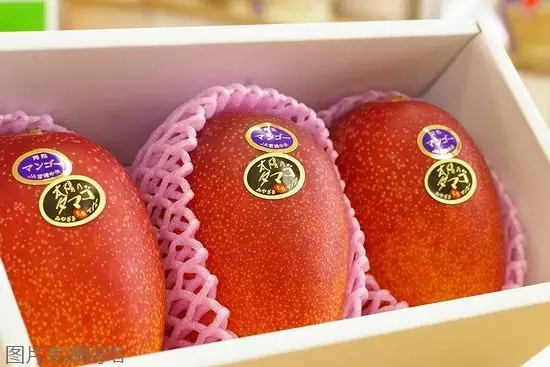 Taiyou no tamago (Trứng mặt trời) được coi là đỉnh cao mỹ vị trong các giống xoài trên thế giới. Giống xoài này còn có tên gọi khác là xoài đỏ Miyazaki, cùng tên với nơi sản xuất ra nó, Miyazaki, Nhật Bản.