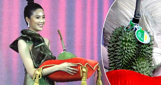 Trung bình tại Thái Lan, giá gốc của sầu riêng Kanyao rơi vào khoảng 15 triệu đồng/quả. Đáng chú ý, trong buổi đấu giá King Of Durian năm 2019, từng có 1 quả sầu riêng Kanyao được chào giá tới… 48.000 USD (khoảng hơn 1,1 tỷ đồng).