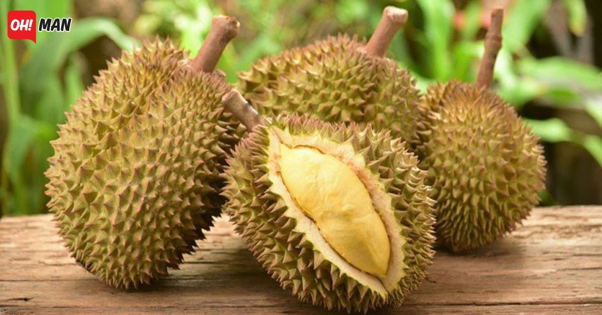 Sầu riêng Kanyao trồng ở trang trại Pa Toi Lung Mu (tỉnh Nonthaburi, Thái Lan) được đánh giá là giống sầu riêng thơm ngon và đắt giá nhất thế giới hiện nay.