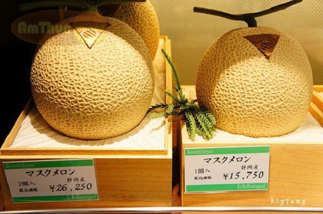 Dưa gang Yubari (Nhật Bản) trông giống như dưa vàng nhưng ngọt hơn rất nhiều. Loại dưa này từng được bán đấu giá với mức 23.000 USD (khoảng 532 triệu đồng) cho một quả.