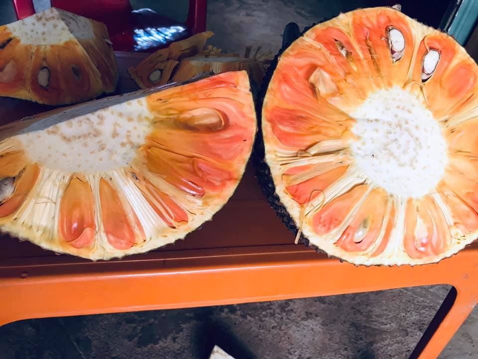 Mít đỏ Malaysia có múi màu đỏ cam như cà rốt, ngọt thanh, cơm dày và thơm mùi vani. Tuy nhiên, mít ruột đỏ khan hàng nên các tiểu thương thường không đủ hàng bán cho khách.