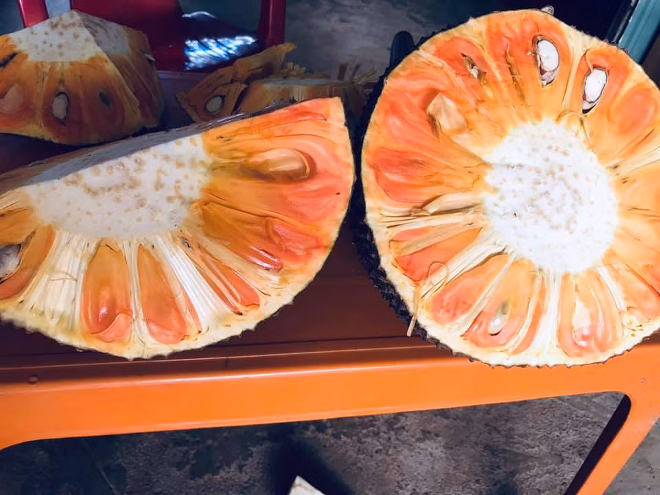 Mít đỏ Malaysia có múi màu đỏ cam như cà rốt, ngọt thanh, cơm dày và thơm mùi vani. Tuy nhiên, mít ruột đỏ khan hàng nên các tiểu thương thường không đủ hàng bán cho khách.