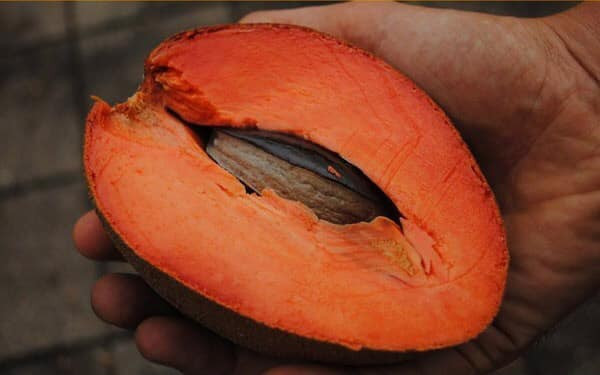 Quả hồng xiêm ruột đỏ có hình dáng thuôn dài từ 17cm – 20cm, màu sắc vỏ quả tương tự hồng xiêm ta. Tuy nhiên, mỗi quả hồng xiêm ruột đỏ rất nặng, quả bé nhất khoảng 400g, quả lớn nhất có thể nặng 2kg.