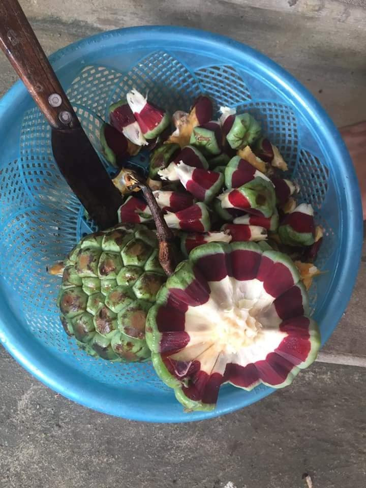 Trước đây na rừng có giá khoảng 300.000 đồng/kg. Tuy nhiên, vài năm nay người dân vào rừng hái nhiều hơn nên loại na ruột đỏ này có giá rẻ hơn, khoảng 80.000 - 100.000 dồng/kg.