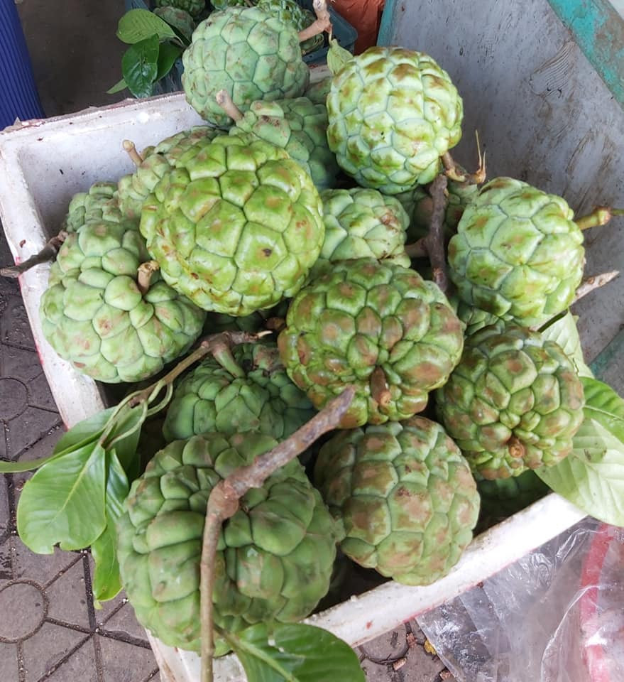 Giữa tháng 9, một loại trái cây ruột đỏ được rao bán rầm rộ trên chợ mạng là na rừng Tây Bắc.