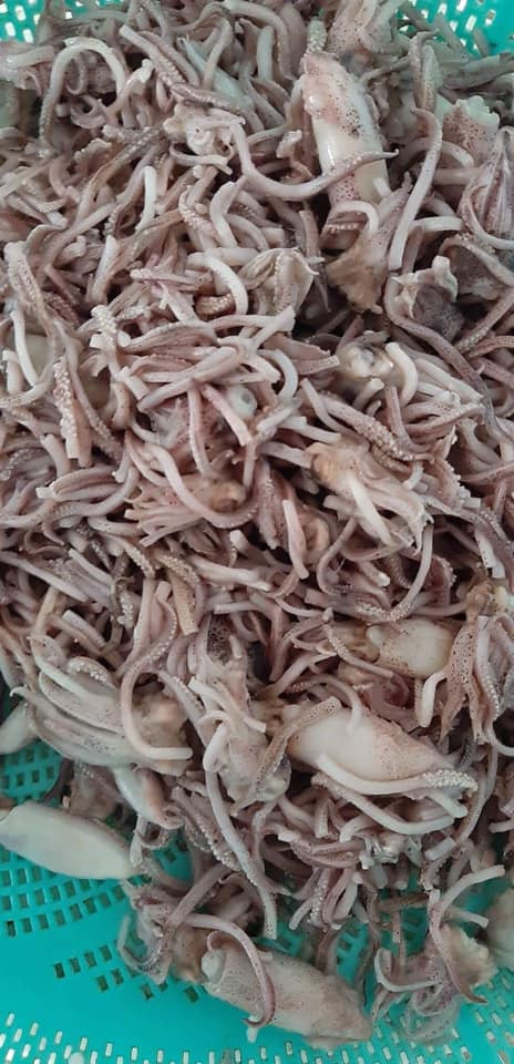 Chị Thắm (một đầu mối bán râu mực ở Hạ Long) cho biết, do râu mực giá rẻ nên nhiều chị em rủ nhau gom mua, mỗi người vài kg.