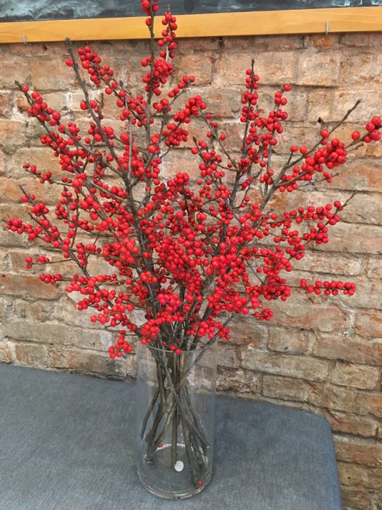 Hoa đông đào là loại hoa “độc” với chi chít những quả mọng màu đỏ đẹp mắt. Dịp Tết, loại hoa này đang được bán với giá khá “chát” khoảng 350.000 đồng/cành.