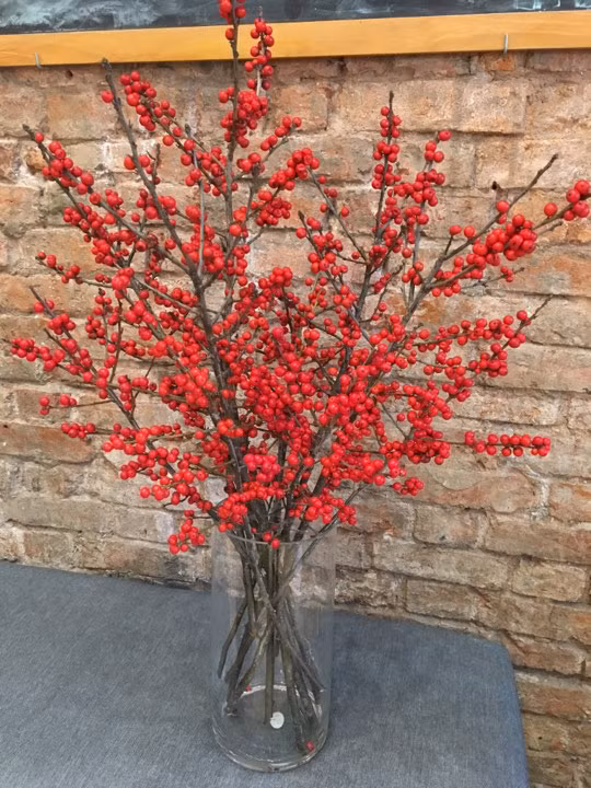 Hoa đông đào là loại hoa “độc” với chi chít những quả mọng màu đỏ đẹp mắt. Dịp Tết, loại hoa này đang được bán với giá khá “chát” khoảng 350.000 đồng/cành.