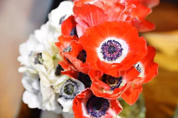 Hoa thu mẫu đơn nhập khẩu từ Hà Lan đẹp mắt và hiếm gặp. Giá mỗi cành hoa khoảng 120.000 đồng.