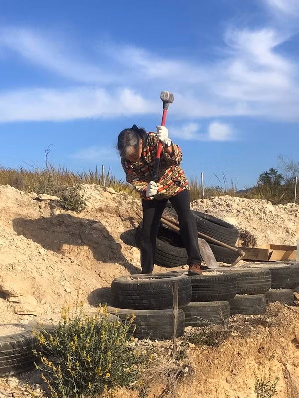 Xung quanh nhà, hai vợ chồng trồng thảo mộc, cây cảnh và nhà cho thú nuôi. Nguồn ảnh: Insider.