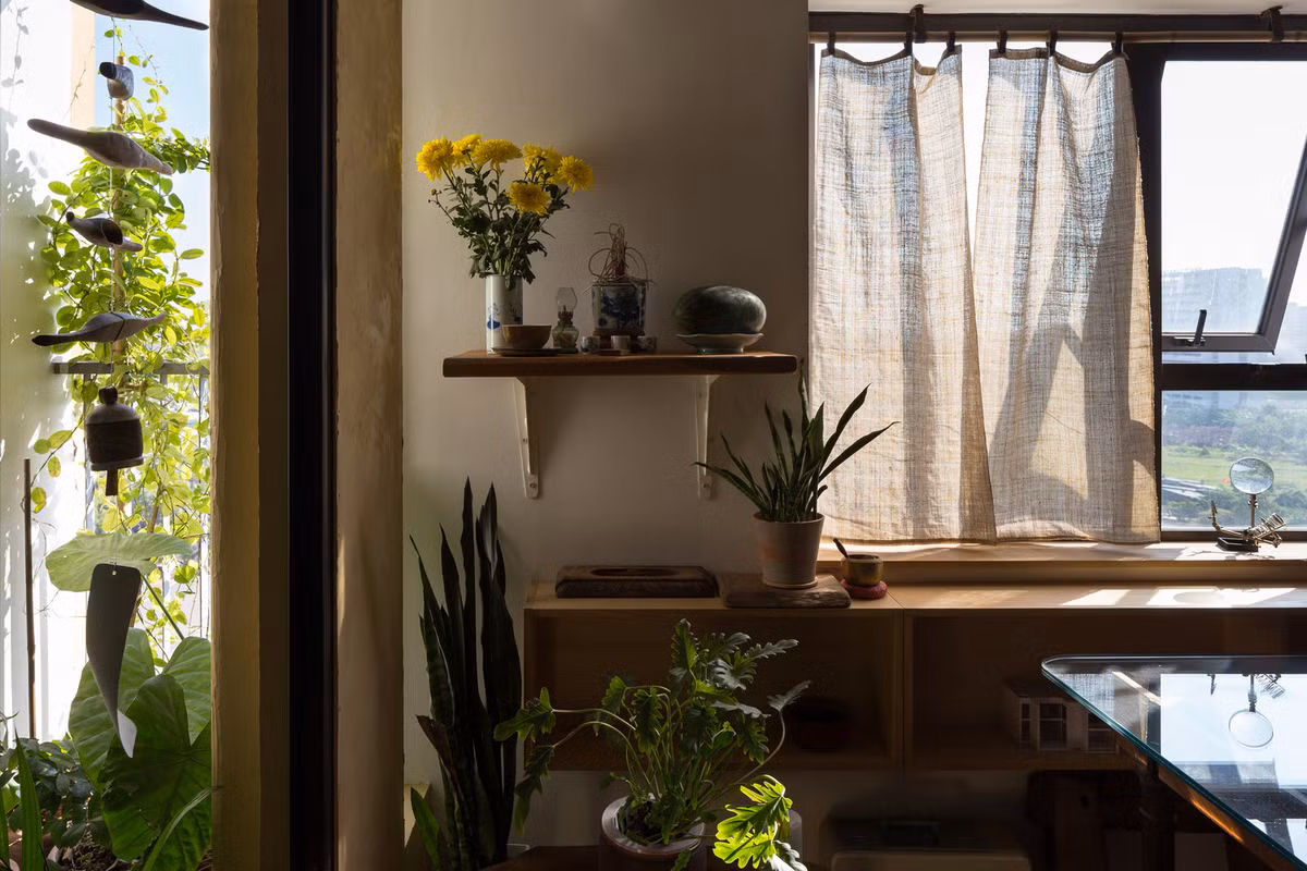 Cây xanh như một yếu tố không thể thiếu trong nhà. Nguồn ảnh: Hoang Le. Video: Biến nhà cũ 25m2 thành căn hộ đáng sống. Nguồn: VTC1.