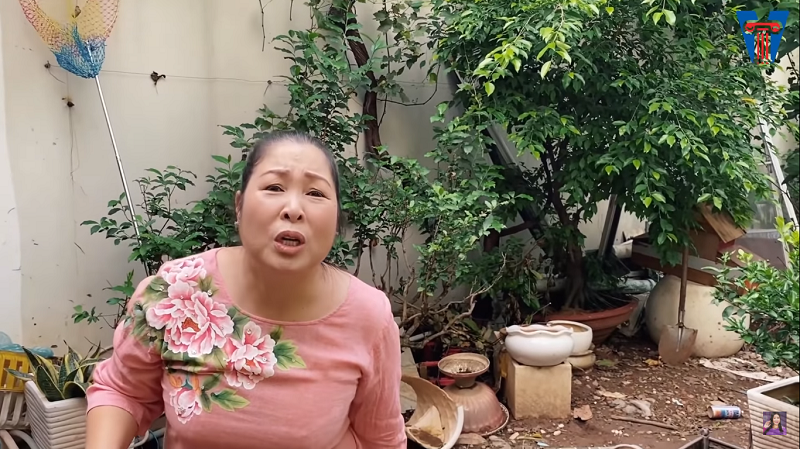 Trong đó, khu vườn trước rộng gần trăm mét vuông được nghệ sĩ Hồng Vân trồng nhiều cây ăn quả như khế, roi... và rất nhiều cây cảnh, non bộ.