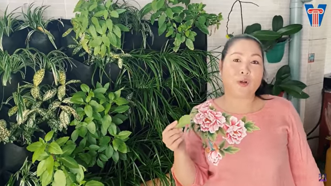 Sân sau có một vườn đứng xanh mướt.