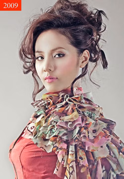 Dù có nhiều cơ hội phát triển sự nghiệp, nhưng chỉ hoạt động tích cực được vài năm, Phương Linh dần hạn chế xuất hiện. Chỉ những show diễn nào cảm thấy phù hợp, ca sĩ Phương Linh mới tham gia biểu diễn.