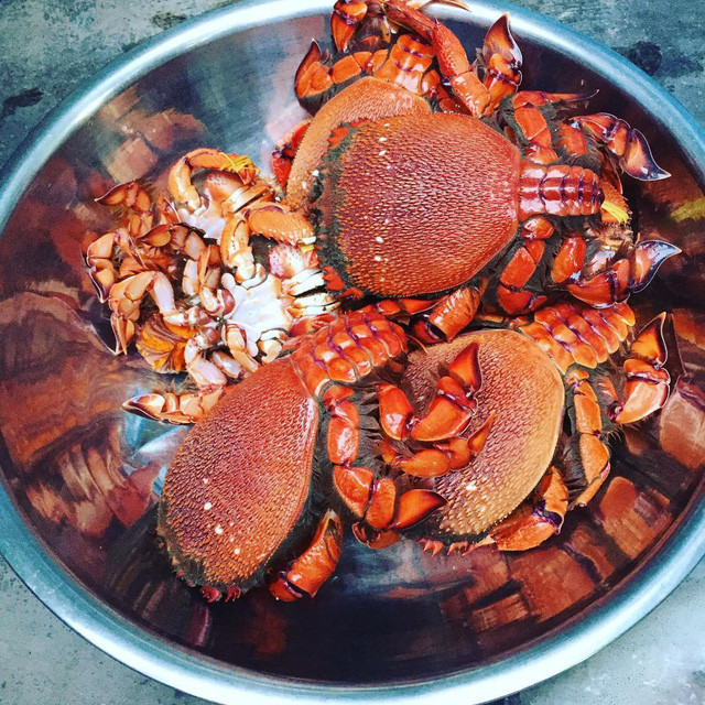 Trước đây, cua huỳnh đế là sản vật để cung tiến vua chúa thời xưa.