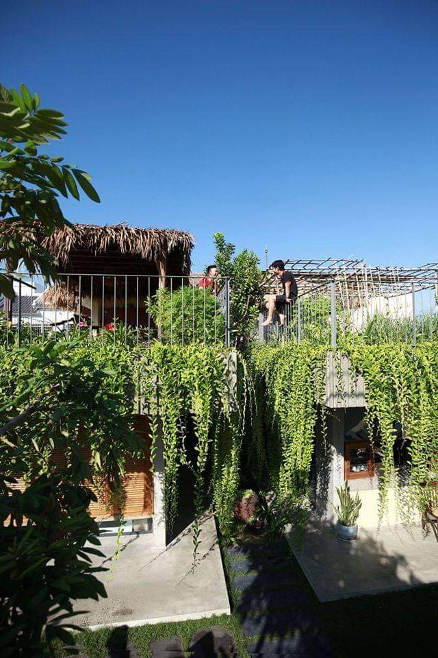 Khu vườn trên mái cũng là nơi các bạn nhỏ có thể vui đùa và trò chuyện bên nhau vào những dịp cuối tuần.