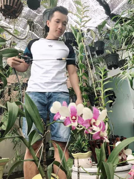 Khởi nghiệp chỉ với 10 triệu đồng, Phạm Phước An (sinh năm 1993, ấp Thanh Thủy, xã An Phước- Mang Thít, Vĩnh Long) đã sở hưu vườn lan có giá trị hàng trăm triệu đồng chỉ sau 3 năm. Ảnh: Baovinhlong